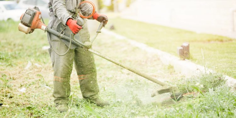 Mowing the grass